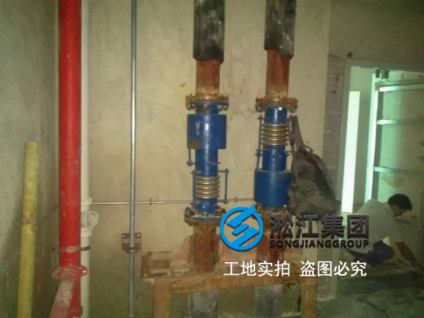 【橫琴總部大廈項目】內外壓平衡波紋補償器 【橫琴總部大廈項目】內外壓平衡波紋補償器